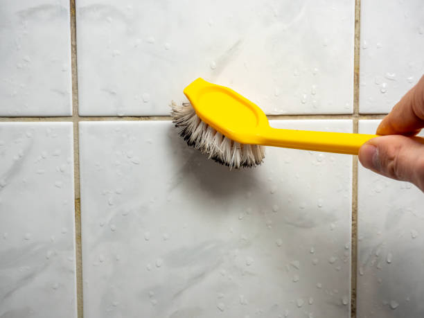 Best Mold Remediation  in Gladeville, TN